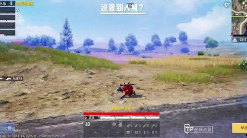 猎鹰巡查最新爆料,独家爆料揭示惊天秘密  第3张