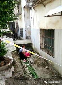 湖南永州零陵爆料事件最新,真相与争议交织的社区冲突调查 第2张 湖南永州零陵爆料事件最新,真相与争议交织的社区冲突调查 第2张